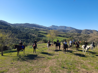 Sicily Horse Tours